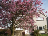 Cherrytrees Bed and Breakfast 