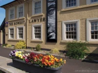 Honest Lawyer Hotel 