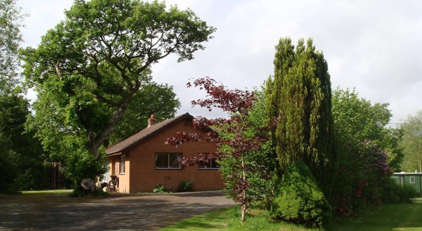 Broncoedwig 