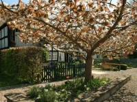 Peel Cottage, Dilwyn 