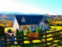 Serendipity Bed And Breakfast 
