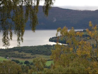 Drumnadrochit Lodges