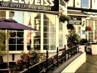 Edelweiss Guest House 