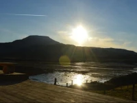 The Tide 