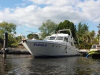 Hampton Court Motor Yacht 