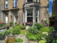 Highfield Guest House 