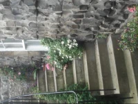 Albany St B&B 