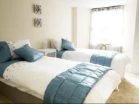 Central - New Town Apartment 