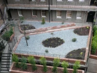 Grassmarket Studio - Websters Land 