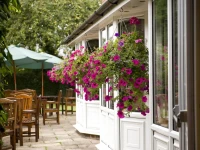 The Brookfield Hotel 
