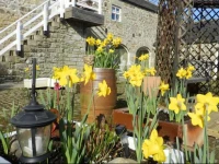 Falstone Farmhouse & Barns 