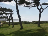 Needles And Winds 
