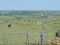 Amberley View 