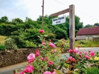 Wellington Farm Guesthouse and Tea Room 