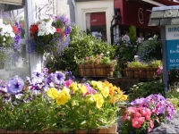 Birchleigh Guest House 