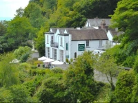 Cottage In The Wood 