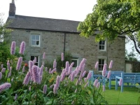Wydon Farm Bed and Breakfast 