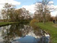 Blackjacks Mill 