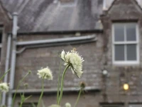 Whitchester Christian Guest House 