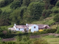 The Blue House Bed and Breakfast 