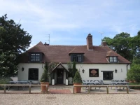 The Yew Tree 