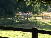 Grange Farm B &amp; B 