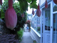The Dorchester Guest House 