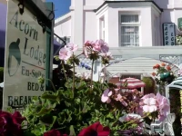 The Acorn Lodge 