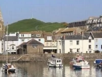 The Harbour Lights 