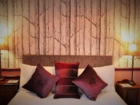 The Staymor in the City 