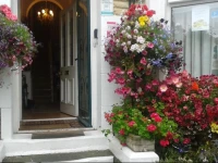 The Welford 