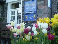 Sunnyside Guest House 