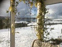 Corran House 
