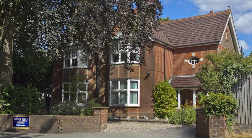 Copper Beech House Crawley 