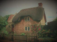 Thatch cottage 