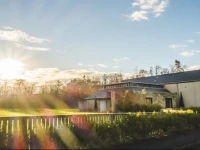 Oakwood Boutique B&B 