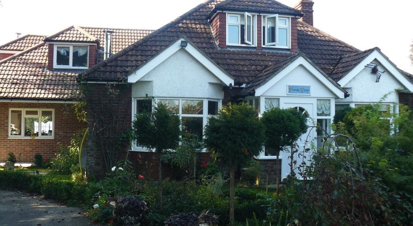 Forest View B&B 