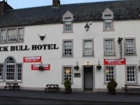 Black Bull 