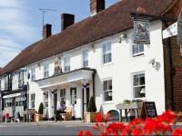 The Dog & Bear Hotel 