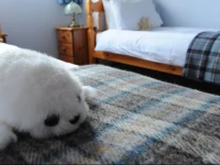 Decca - Self Catering Shetland 