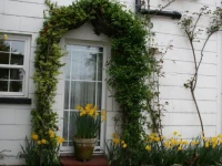 Clayhill House Bed & Breakfast 