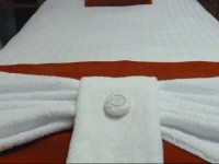 Cocoon @ International Inn 