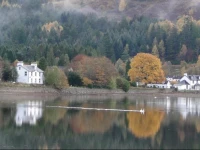 The Shore House Inn 