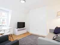 Private Apartment - British Museum - Oxford Street 