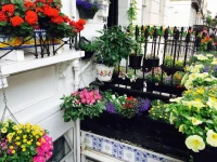 Surtees Hotel 