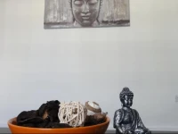 Indigo Habitat 