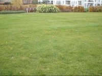 London Vision B&B 