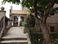 Ludlow Mascall Centre 