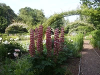 Passford House Hotel 