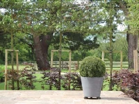 The Palace at Kingfishers 